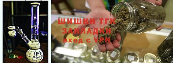 прущие грибы Армянск