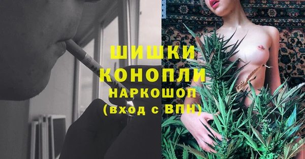 прущие грибы Армянск